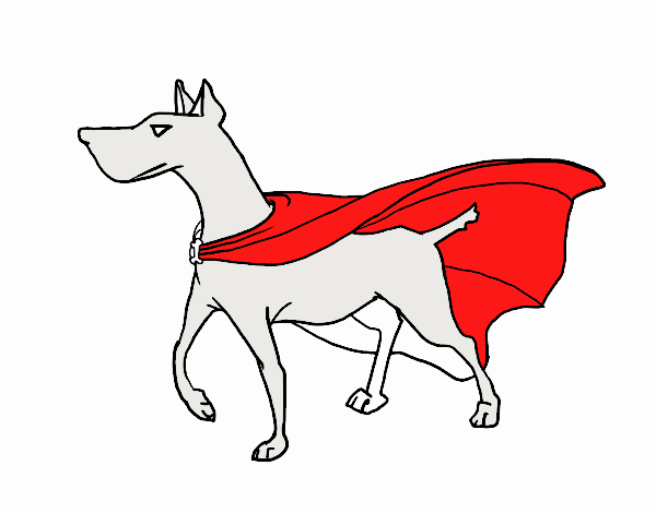 Perro superhéroe