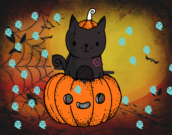 Un gatito de Halloween