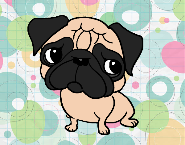 Dibujo de pug