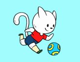 Gato jugando a fútbol