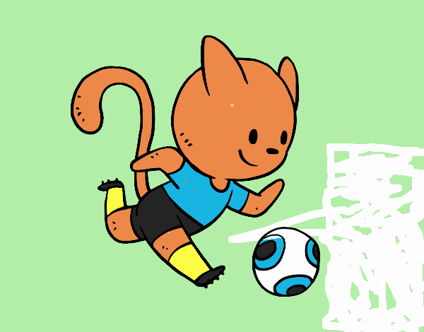 gatito jugando fut bol