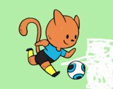 Gato jugando a fútbol