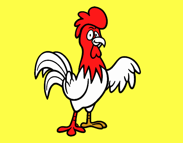 Un gallo de corral