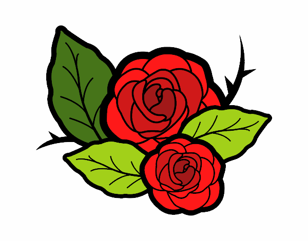 Dos rosas