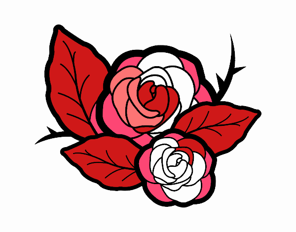 Dos rosas