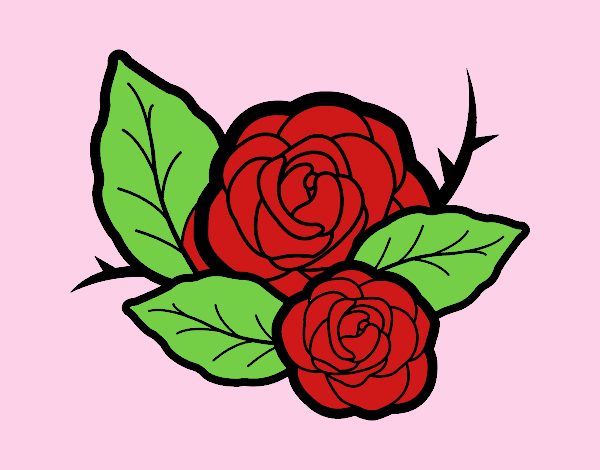 Dos rosas