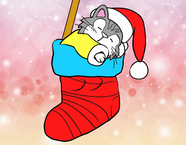 Gatito durmiendo en un calcetín de Navidad