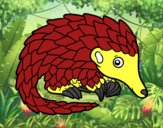 Pangolin