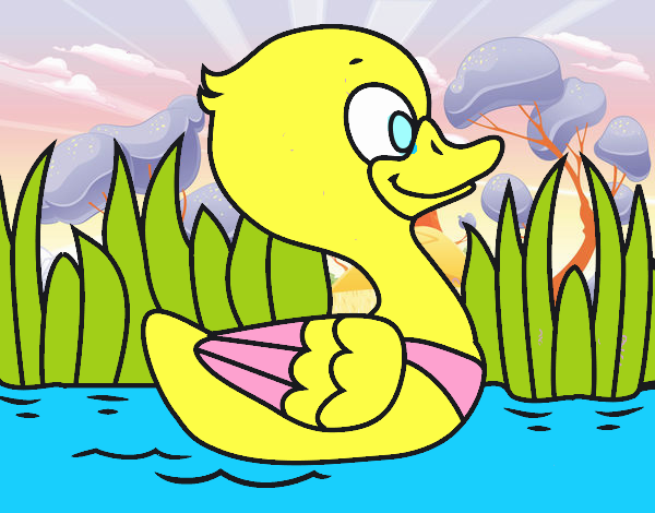 Patito de río