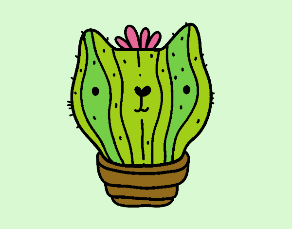 Cactus gato