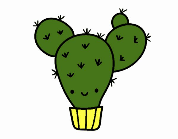 Cactus nopal