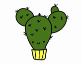 Cactus nopal