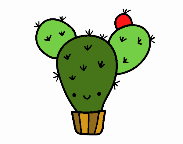 Cactus nopal