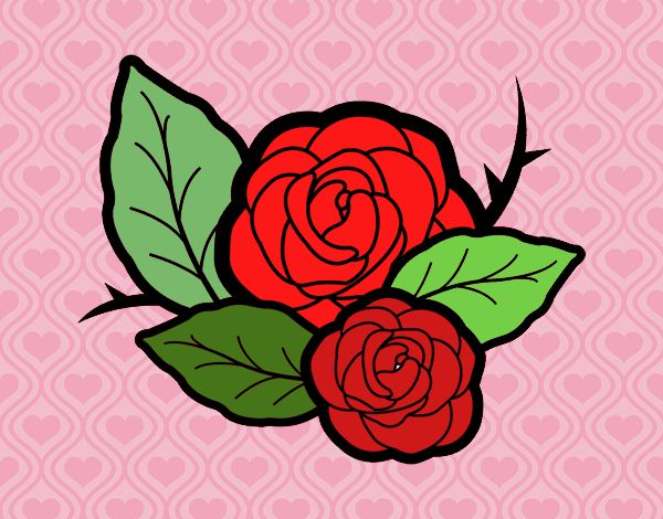 Dos rosas