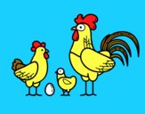 Familia gallina