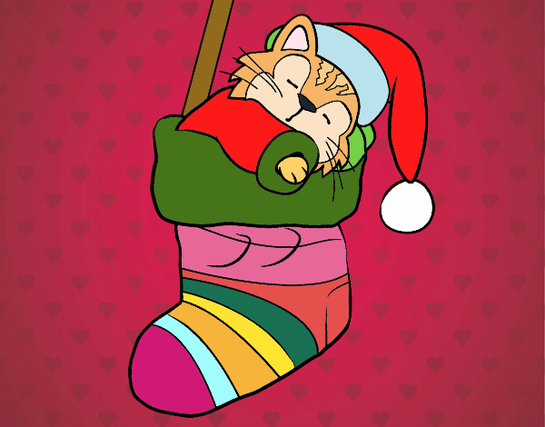 Gatito durmiendo en un calcetín de Navidad