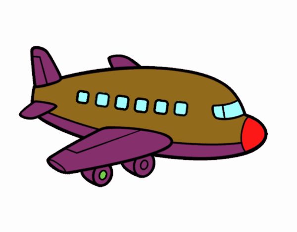 Un avión de pasajeros