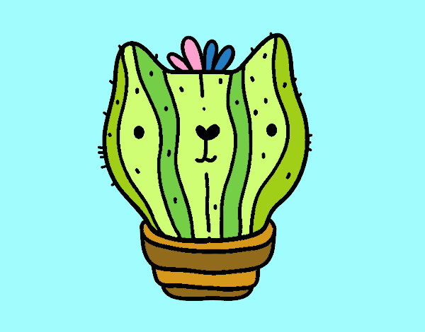 Cactus gato