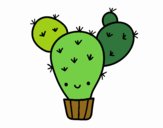 Cactus nopal