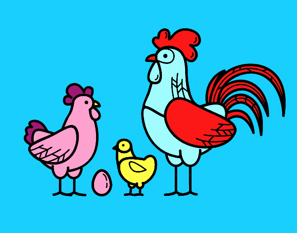 Familia gallina