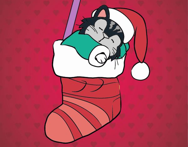 Gatito durmiendo en un calcetín de Navidad