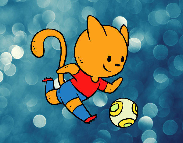 Gato jugando a fútbol