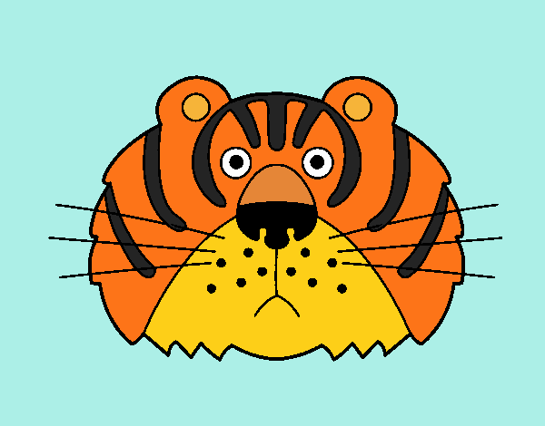 Tigre III