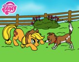 Applejack y Winona