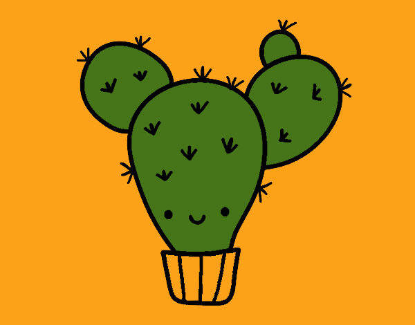 Cactus nopal