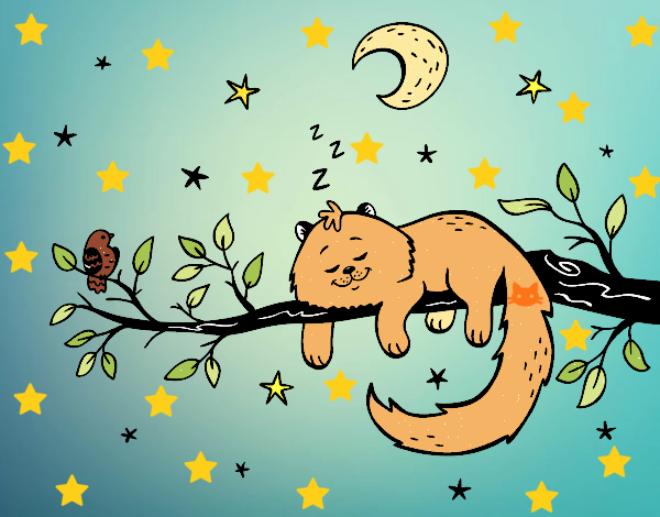 El gato y la luna