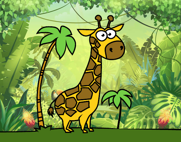 Girafita