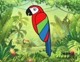 Pájaro Guacamayo