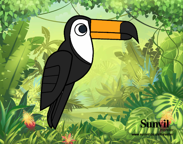 aves tropicales tucan