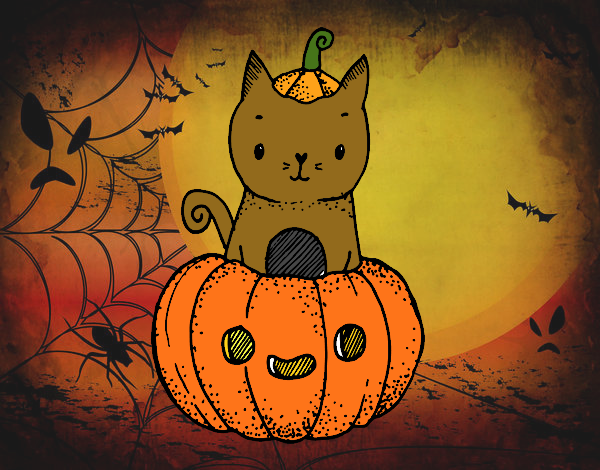 Un gatito de Halloween