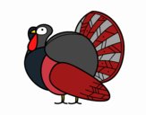 Un pavo