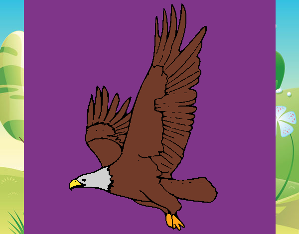 Águila volando