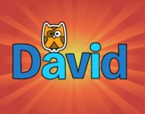 David