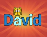 David