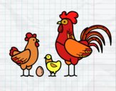 Familia gallina