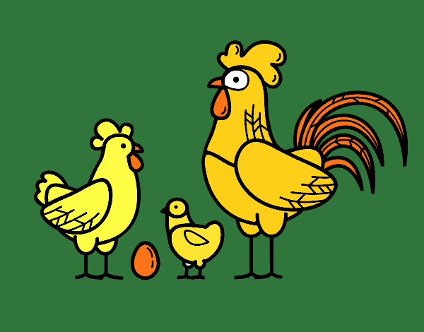 Familia gallina