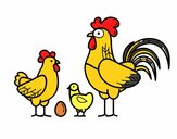 Familia gallina