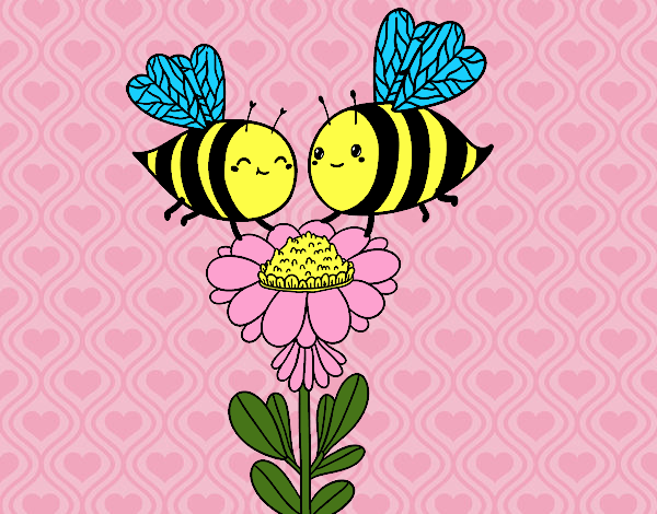 Pareja de abejas