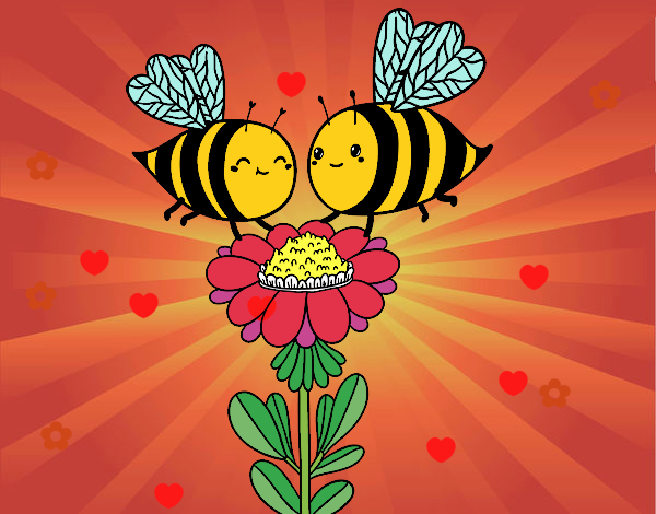 Pareja de abejas