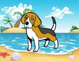 Perro Beagle