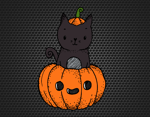 Un gatito de Halloween