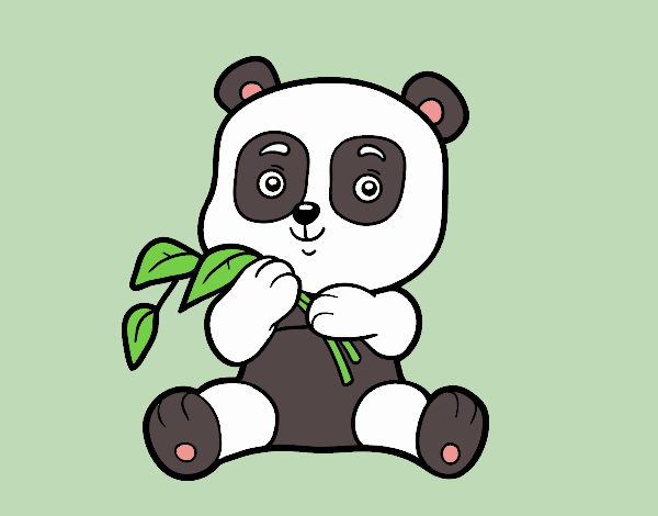 Un oso panda