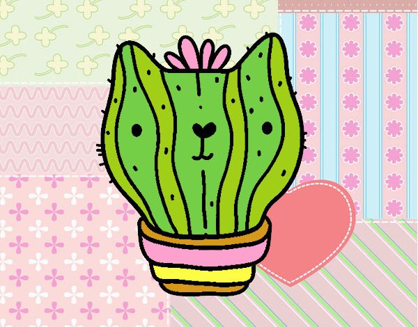 Cactus gato