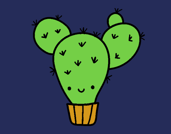 Cactus nopal