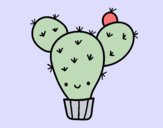 Cactus nopal