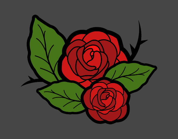 Dos rosas